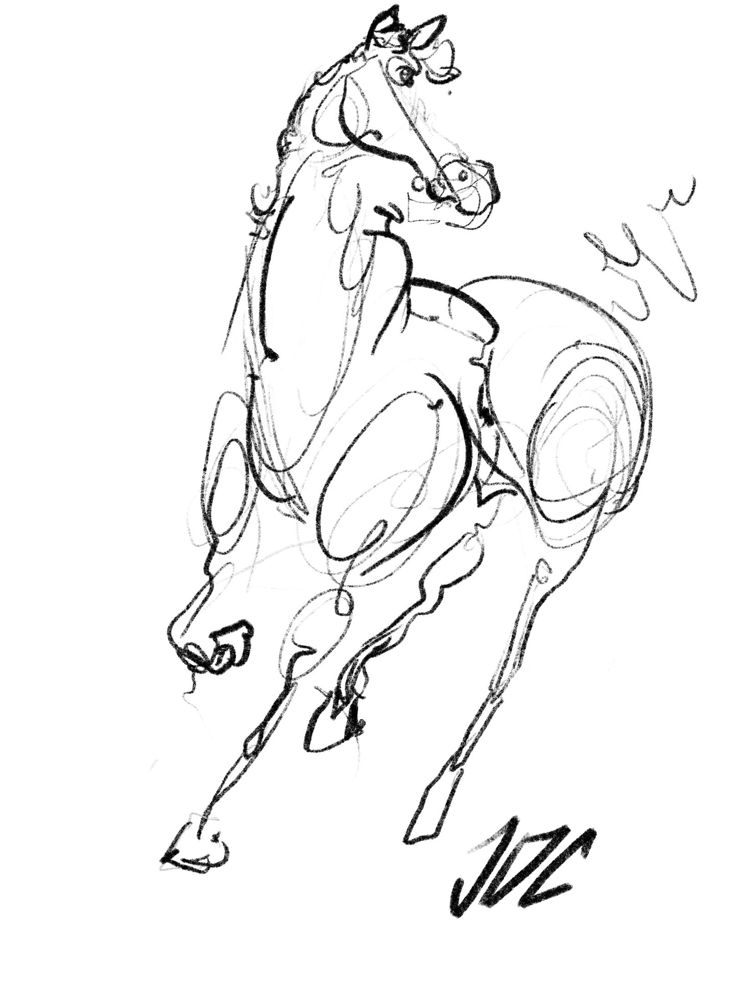 Horse Print